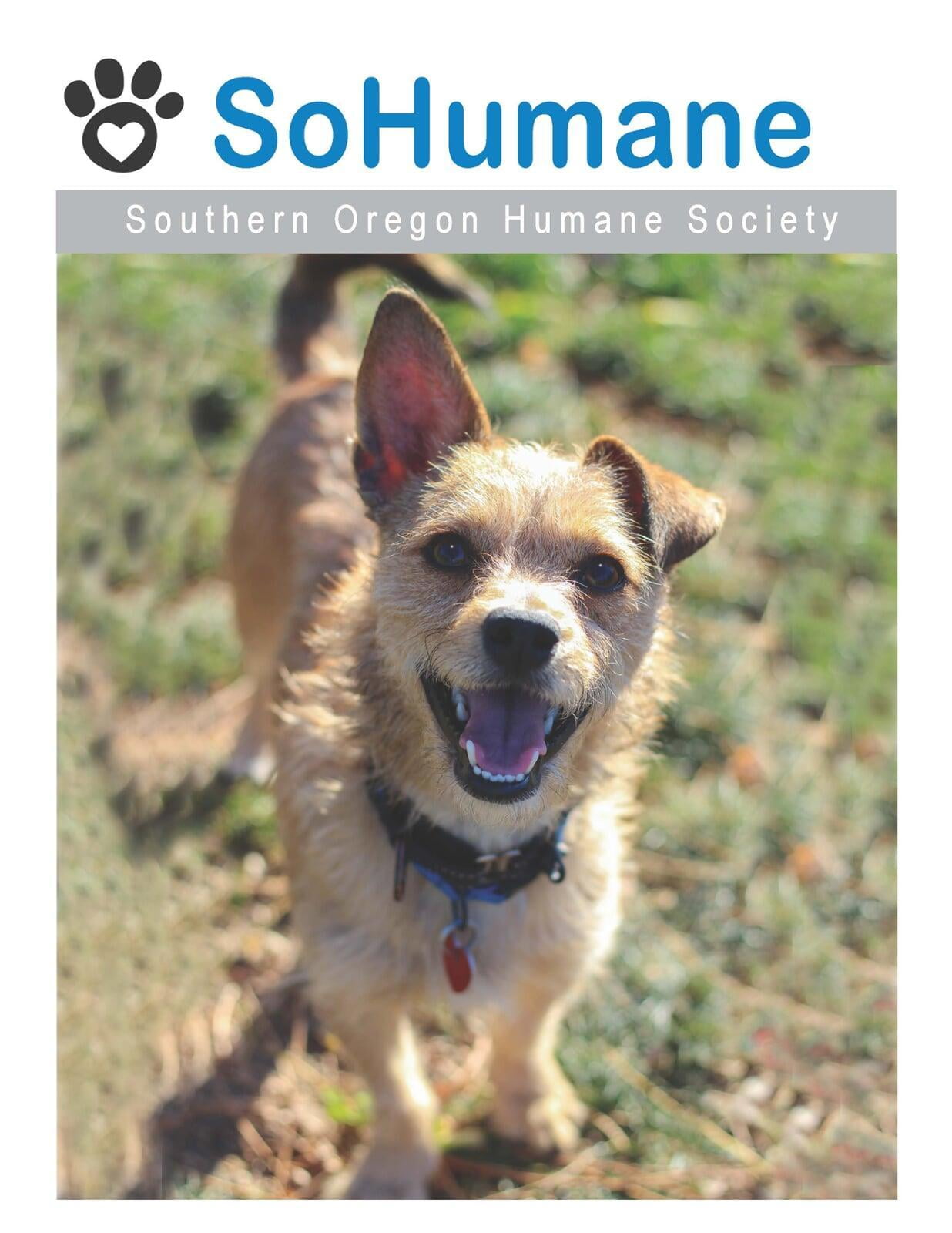 Southern oregon humane society trumbull county humane society